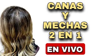 Canas y Mechas 2 en 1 TUTORIAL peluqueria [upl. by Hembree380]