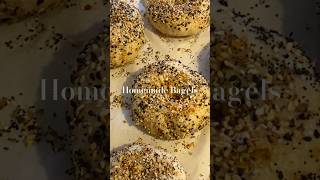 I used sourdough starter to make everything bagels🥯full vlog amp recipe going live at 5pm est today [upl. by Binnie]