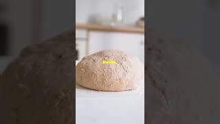 Quick amp Easy Ciabatta Recipe in 60 Seconds [upl. by Lachus]