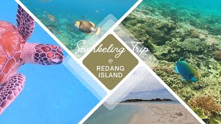 Day 3  Redang Island  Snorkeling Trip [upl. by Midas439]