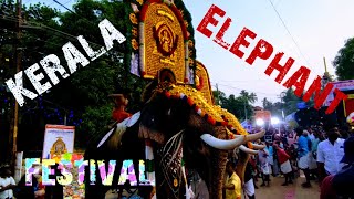 Puttingal Devi  Temple  Hindu  Elephant  Paravur  Kerala  India  Video 63 ‎shailpoints [upl. by Arella]