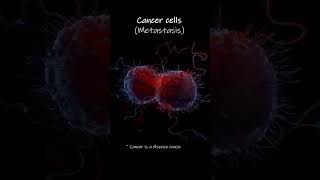 Cancer cell metastasis Animation [upl. by Allegra993]