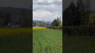 The Wye Valley in Spring shorts travel hiking 4k [upl. by Lemra]