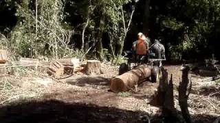 horse logging nz [upl. by Mya]