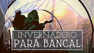 Cómo hacer un INVERNADERO casero para bancales Polytunnel [upl. by Saffian]