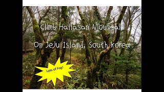 Climb Hallasan Mountain on Jeju Island South Korea  The Ultimate World Cruise [upl. by Dutch]