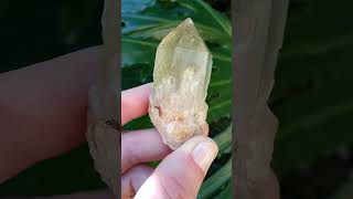 3923 Kundalini natural Congo citrine quartz golden healer lightbrary cathedral candle elestial [upl. by Ahsataj717]