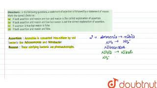 Assertion Ammonia is converted into nitrate by soil bacteria like Nitrosomonas [upl. by Nealon844]