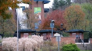 2Year Old Boy Mauled After Falling at Zoo [upl. by Free]