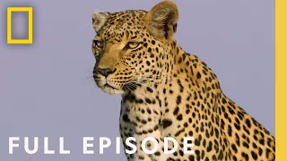 The Flood Full Episode  SPECIAL [upl. by Nylesoy]