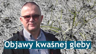 Objawy kwaśnej gleby Jak sprawdzić pH  Wszystko o odczynie gleby odc 3 [upl. by Airottiv818]