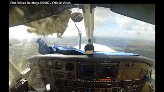 Impressive Bird Strike on a Piper Saratoga in Flight windshield explosion [upl. by Gnuj]