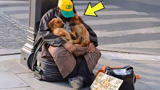 Stray Dogs Visit Homeless Man Every Day – People Are Left Stunned Realizing Why [upl. by Friedly]