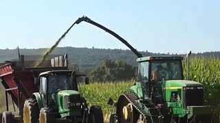 SEFL PROPELLED FORAGE HARVESTER ON MAIZE SILAGE  2024 [upl. by Nairdad]