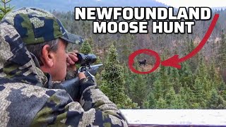 Awesome Newfoundland Moose Hunt Bull Down at 75 Yards  Jasons Moose [upl. by Deste503]