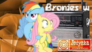 Bronies w Polskim Radio Jedynka [upl. by Deloris]