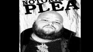 A Plea for Purging  Big Poppa [upl. by Novelia931]