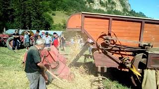 Vidéo de battage à lancienne avec une batteuse à Cornus en Aveyron [upl. by Saidel]