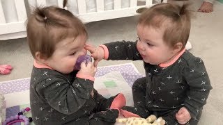 Funniest TWIN Baby Girls Share A Pacifier [upl. by Aneel670]