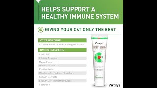 Vetoquinol Viralys Gel L Lysine Supplement for Cats [upl. by Darrill]