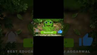 lifecyclefrogfroglifecyclebesteducationaruaggarwalsciencelifecyclefrog [upl. by Anawd998]