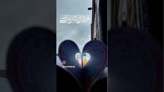 MOLA IMAM Raza NADEEM SARWAR NOHA MOLA Raza nohas yaali nohamolaabbas viralvideo youtubeshorts [upl. by Ecirtac]