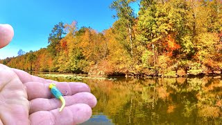 Catch Loads Of Crappie For Dinner Easy With This Fall Fishing Technique [upl. by Thorrlow]