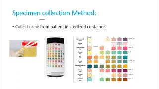 Leukocyte Esterase test [upl. by Conard]