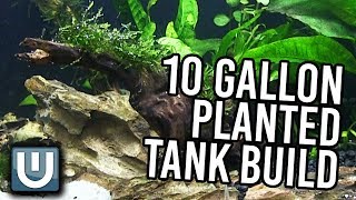 10g Planted Tank Aquarium Build  YOU CAN DO THIS TOO [upl. by Breech625]