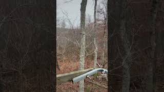 Tree stand subscribe whitetaildeer hunting [upl. by Chenee]