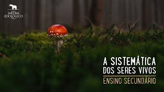 A sistemática dos seres vivos  Secundário  Jardim Zoológico [upl. by Nevaeh448]