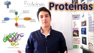 Proteínas y Aminoácidos UN MES DE CLASES EN 10 MINUTOS [upl. by Eirrak]