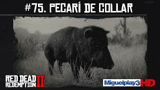 Localización Pecarí de Collar  75 Compendio Animales  Red dead redemption 2 [upl. by Chadbourne]