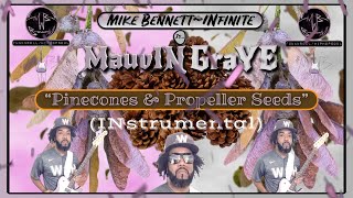 “Pinecones amp Propeller Seeds” Mix 02by MauvIN GraYE mikebennettinfiniteismauvingraye 🌸amp🌫️ [upl. by Gauntlett]