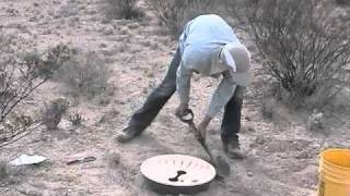 Tree planting with the Groasis waterboxx in the Chihuahua Desert [upl. by Herod342]