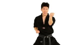 How to Do Horse Stance Drills  Taekwondo Training [upl. by Nylaret86]