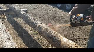 Chainsaw log debarker from HudSon Forest Equipment mechanical log peeling [upl. by Pax437]