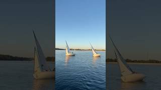 c420 HS Sailing learning how to roll and backwind jib through light wind tacks [upl. by Nivlam]