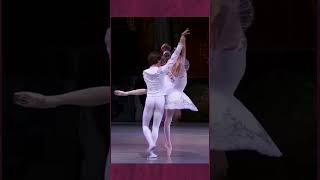 shorts Ballet Adagio From The Nutcracker nutcracer adagio ballet [upl. by Nocam101]