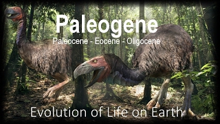 The Evolution of Life part 11  Paleogene [upl. by Idmann]