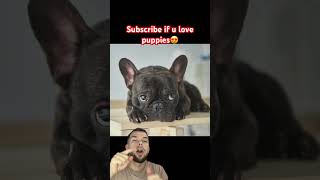 Do you love😫😫😫 funny viralvideo humor challenge [upl. by Paley]