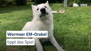 Wormser EMOrakel tippen zweites DeutschlandSpiel [upl. by Nyrahtak]