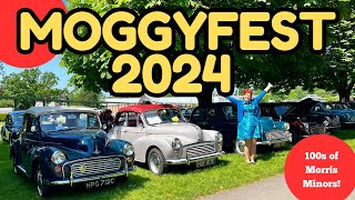 Moggy Fest 2024  100s of Morris Minors all in one place [upl. by Ainoet]