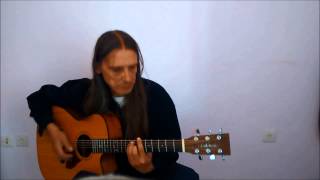 Bird of Paradise  Fingerstyle Guitar  Snowy White [upl. by Etnomaj]