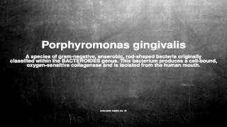 Medical vocabulary What does Porphyromonas gingivalis mean [upl. by Tiler]