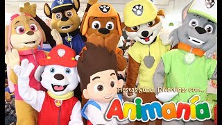 Paw Patrol Latino  Show Infantil [upl. by Adiela]