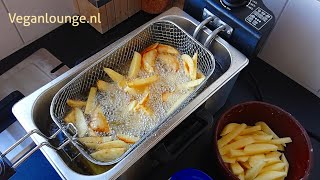 NIEUWE FRITEUSE TESTEN EN KNAPPERIGE FRIETJES BAKKEN 🍟 [upl. by Perren]