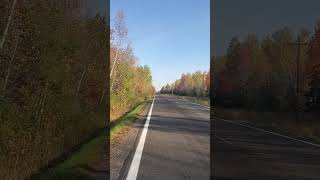 White lines on a very quiet country road [upl. by Dlnaod]