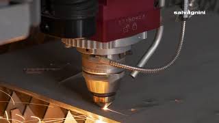 Salvagnini laser cutting L3 fiber laser on 6mm stainless steel [upl. by Anileba688]