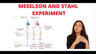 Meselson–Stahl experiment explained  With CSIR NET PYQs  Part  2 Video of the Series [upl. by Ilil540]